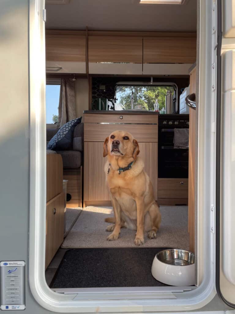 Dog sat in caravan doorway