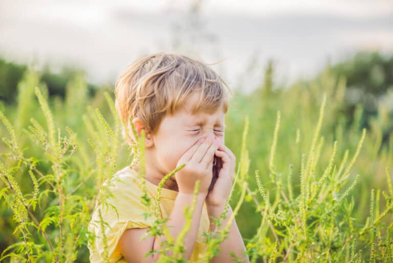 Boy sneezes because of an allergy to ragweed.