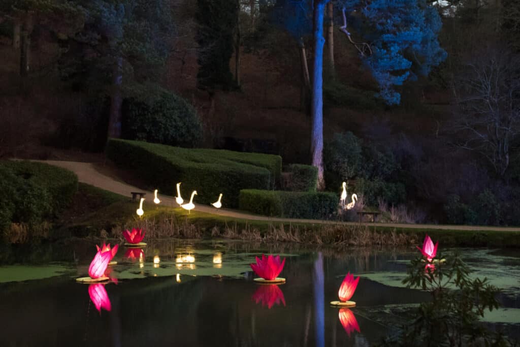 Lake scene of a country estate garden with illuminated lilypads and birds