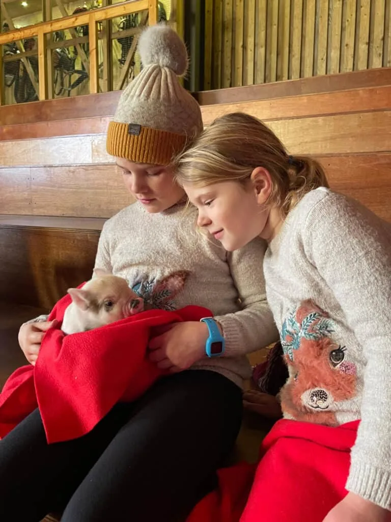 Girls cuddling a piglet during Christmas event at Pennywell Farm in Devon