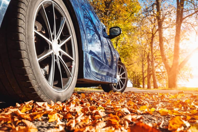 Blue car parked on leaves on road
