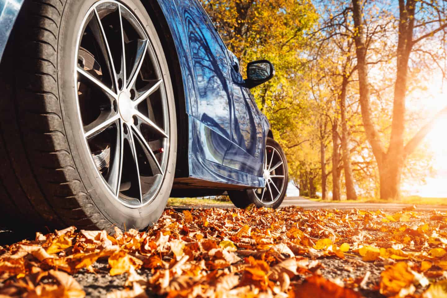 Blue car parked on leaves on road