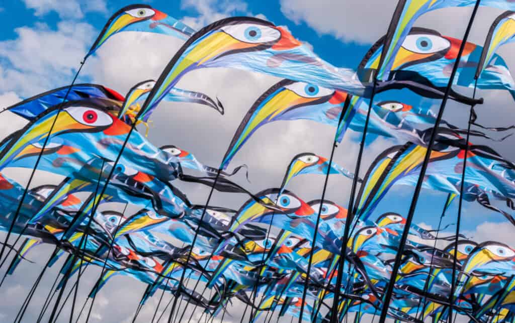 Flags flying in breeze at Portsmouth Kite Festival