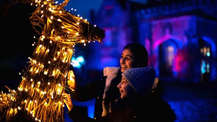 Family enjoying the Glow illuminated trail at Marwell Zoo in Hampshire