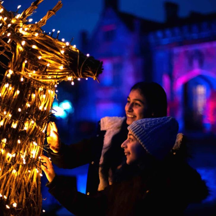 Family enjoying the Glow illuminated trail at Marwell Zoo in Hampshire