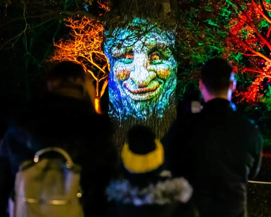 A glowing face projection on an illuminated tree with one adult and two children looking on 