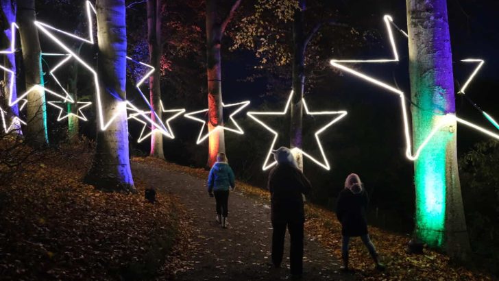 Stars in Christmas light trail