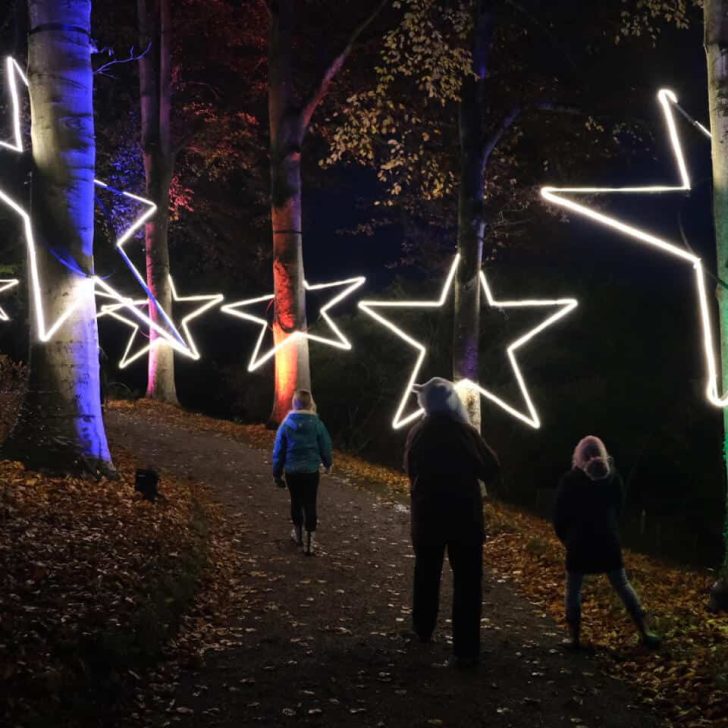 Stars in Christmas light trail