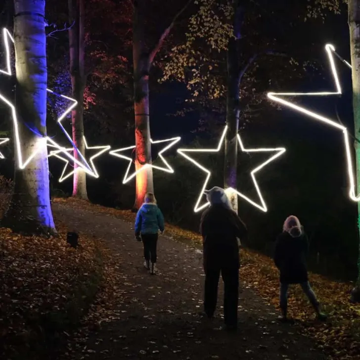 Stars in Christmas light trail