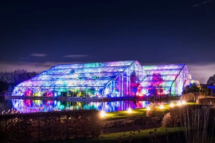 Large Glass Greenhouse Illuminated with colourful lights