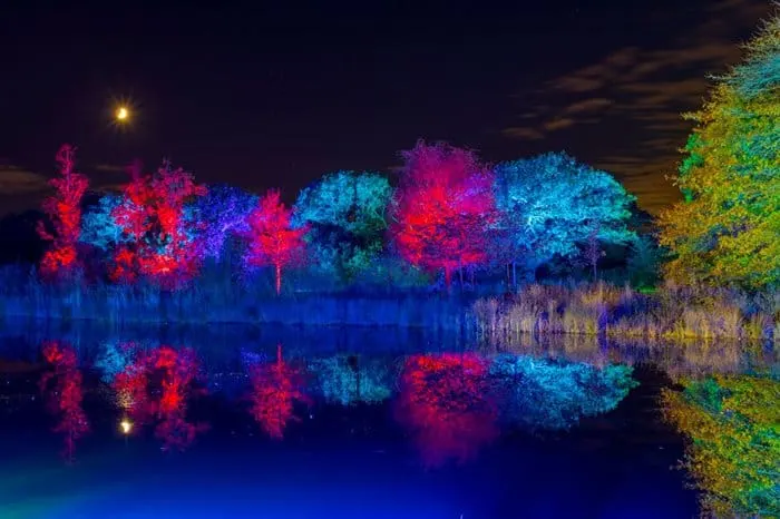 A view of trees illuminated in red and blue across a lake with reflections in the water. 