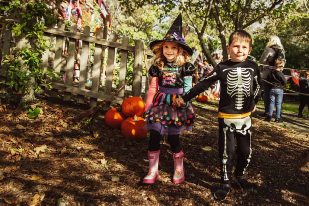 Children dressed in Halloween costumes in woodlands