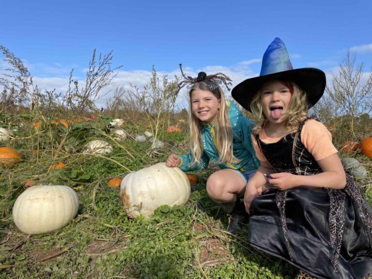 Tin Box girls at pumpkin patch in Halloween costumes