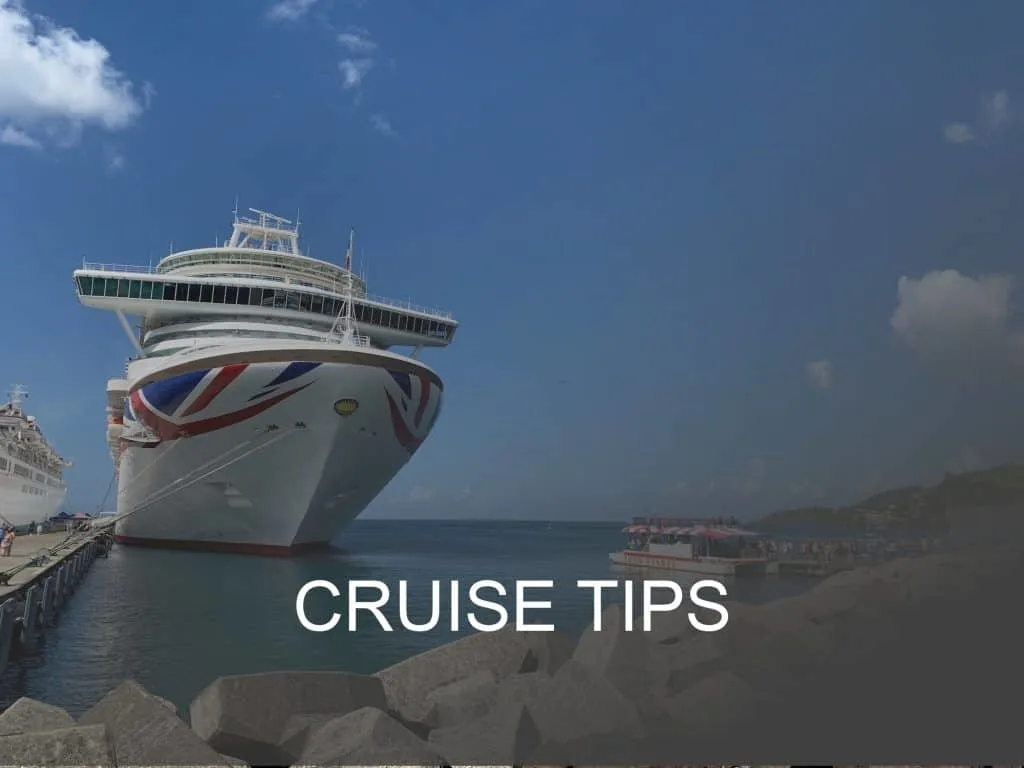 Cruise tips button