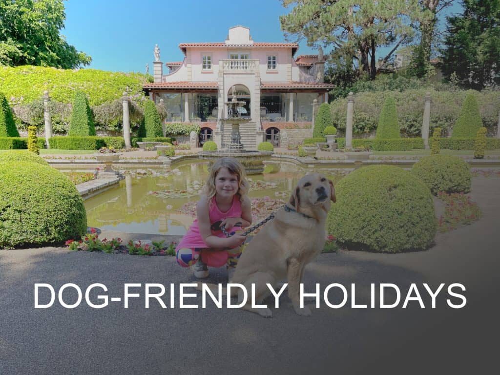 Dog-friendly holidays button