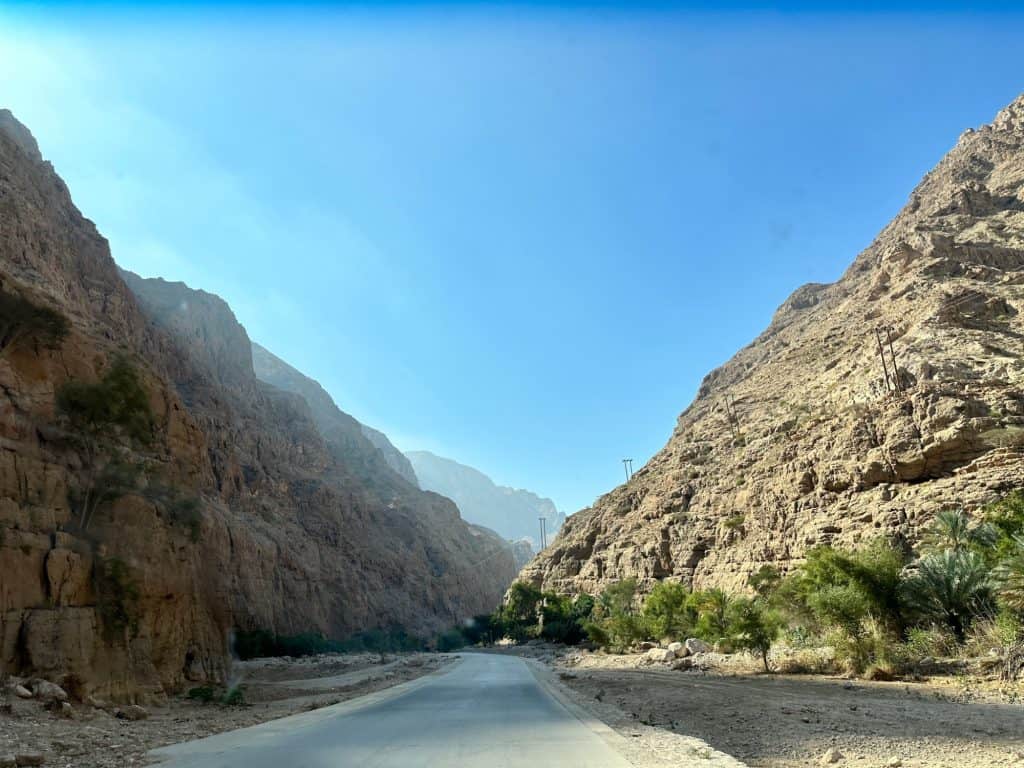 Picture taken through car windscreen of cement road flanked by the the walls of the canyon. There's vegetation low in the canyon but the above cliffs are rocky
