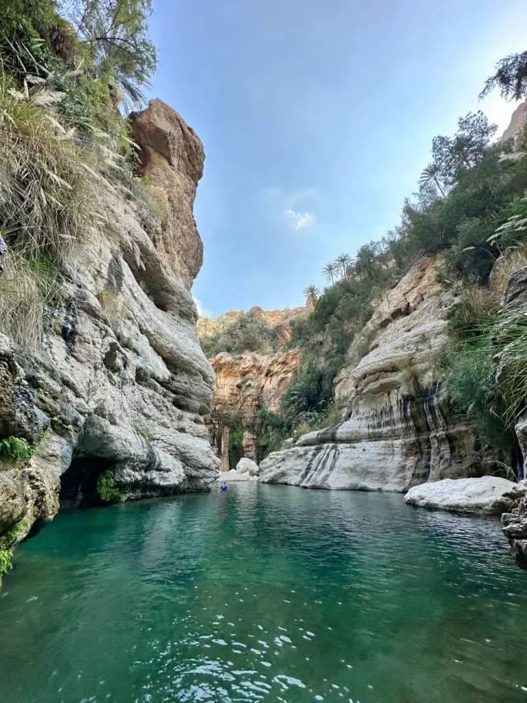 A beautiful view of the wadi pool with lush green canyon walls covered in palms on either side. Mr Tin Box is a small spec floating in the water