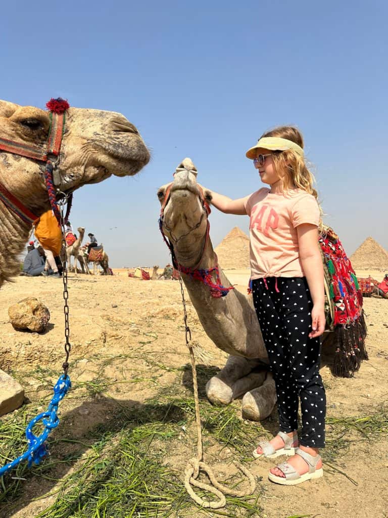 Girl stood with two kneeling camels. She is stroking the head of one of them. In the background you can see the pyramids of Giza