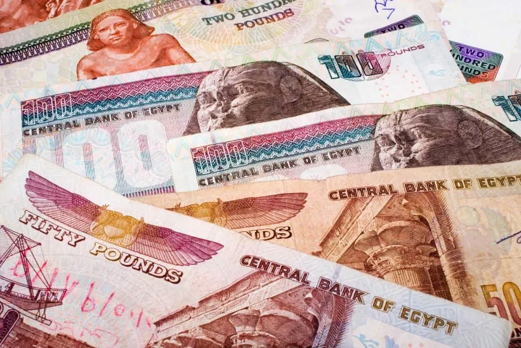 Display of Egyptian currency