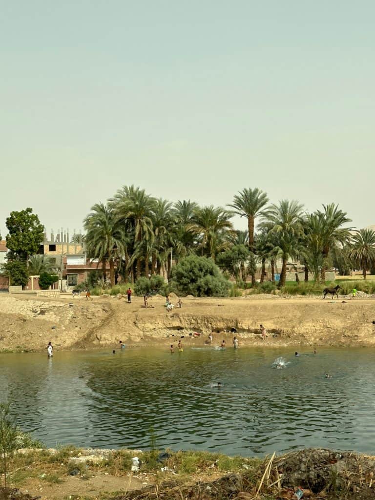 Children stand on the bank of a canal and swim in its waters. This is a rural scene in modern Egypt.