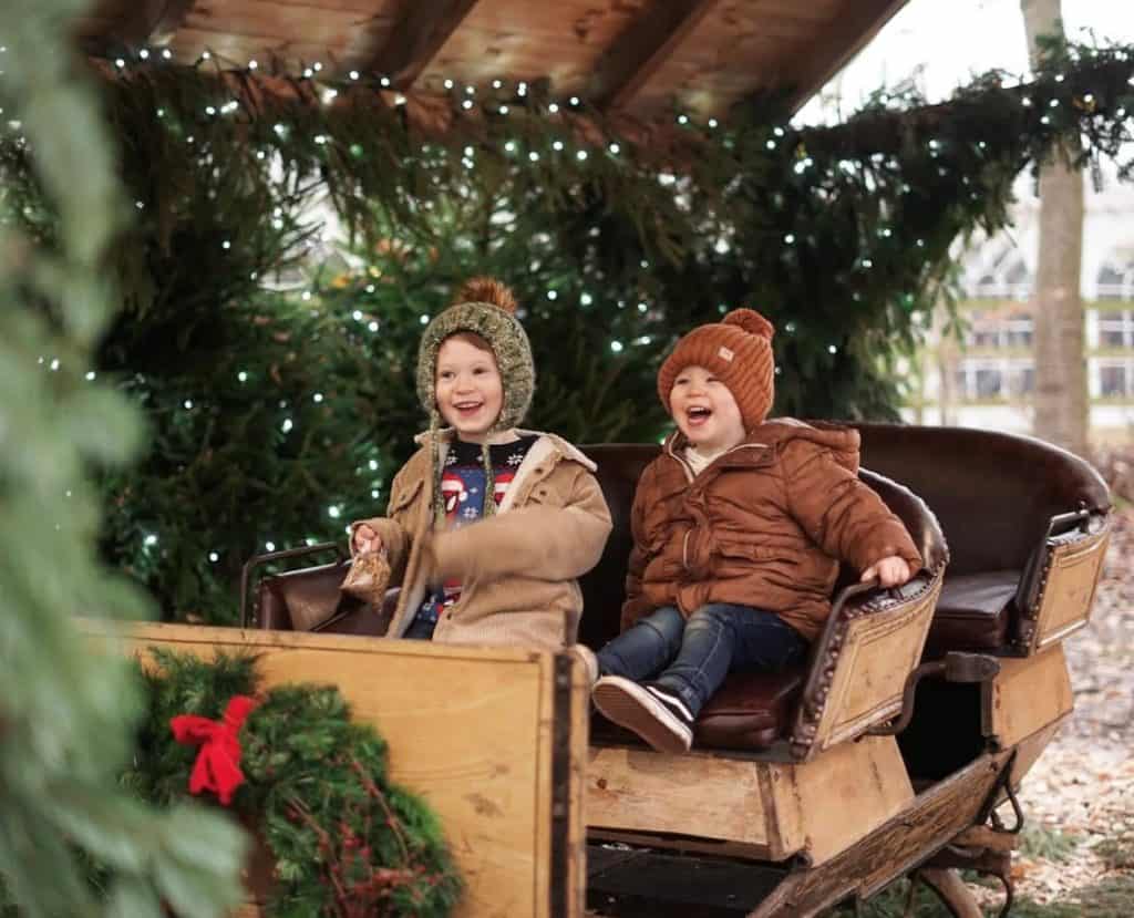 Two young boys sat in a Christmas sleigh