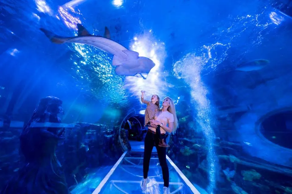 Mother and child look at a shark as they walk through the ocean tunnel at the National Sealife Centre in Birmingham