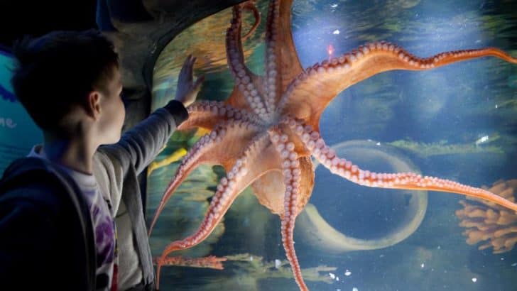 14 indoor activities to do in Birmingham with kids