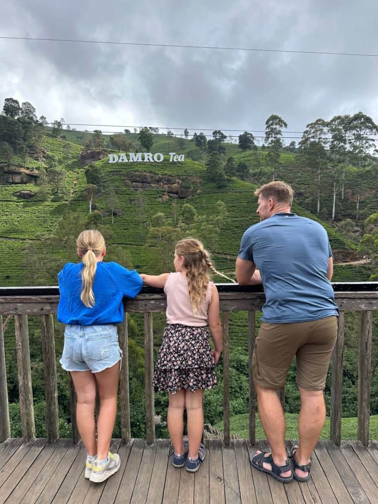 Mr Tin Box and daughters look out on hills lined with tea plants. A white 'Damro Tea' sign is on the hill in front of them