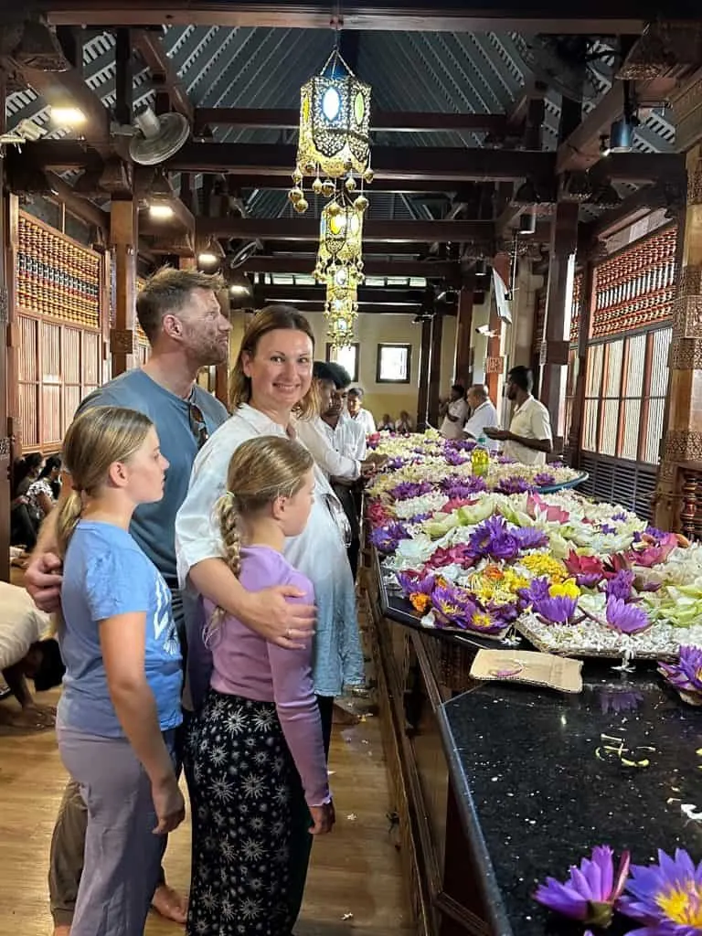 Tin Box family stood infant of the floor offerings in the temple of the tooth