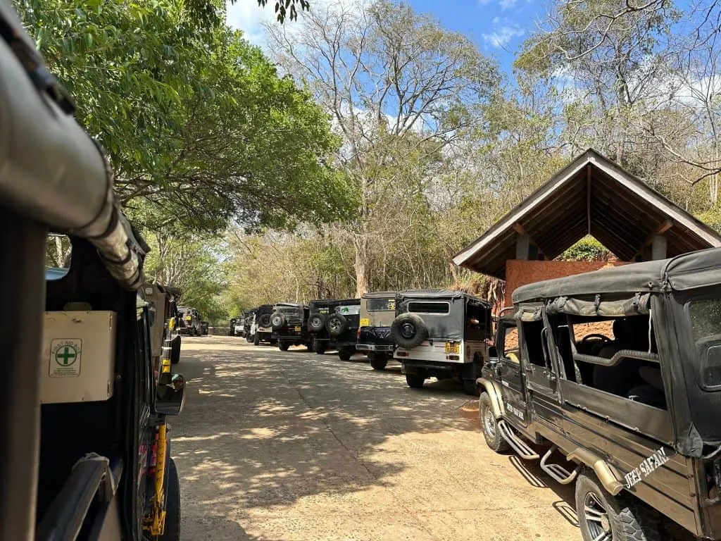 Jeeps queued outside the entrance to Kaudulla National Park