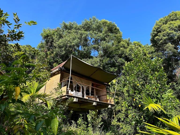 Our tree house style forest pavilion at Koslanda Living Heritage