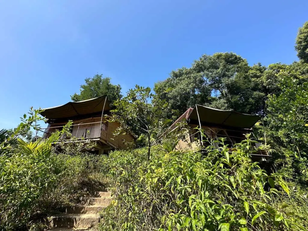 Our two forest pavilions at Living Heritage Koslanda