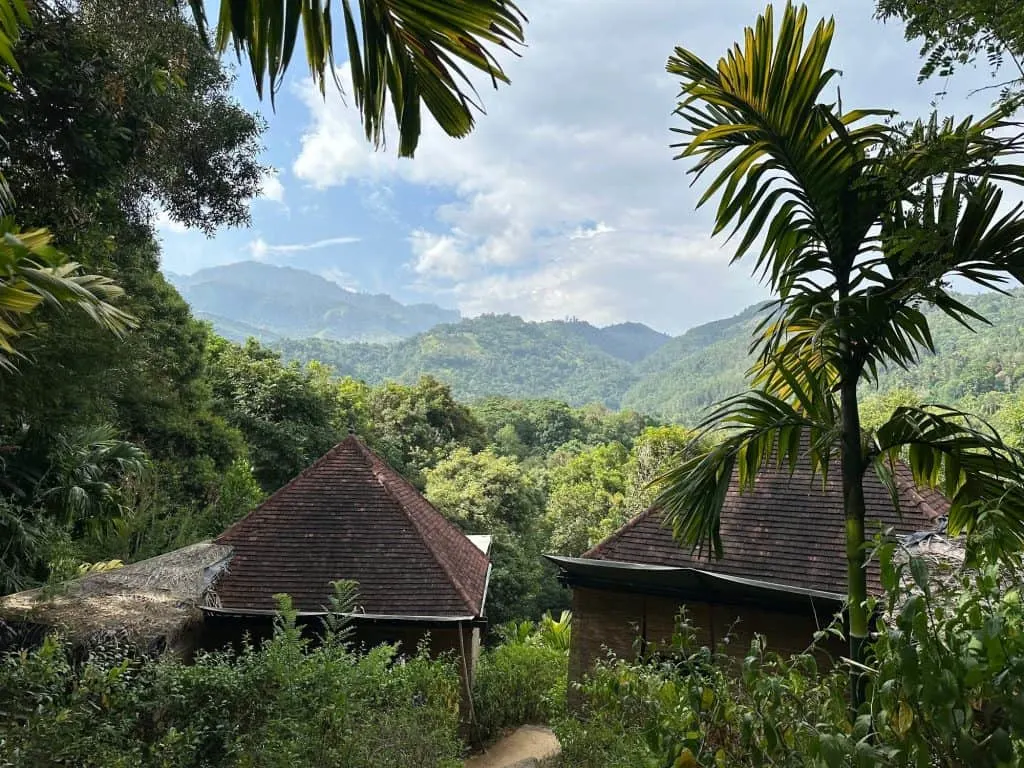 View above our two forest pavilions at Living Heritage Koslanda