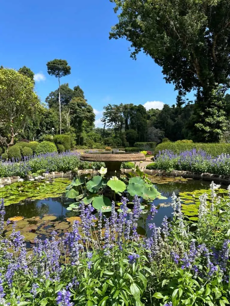 Pond and fountain in the Royal Botanical Gardens in Kandy