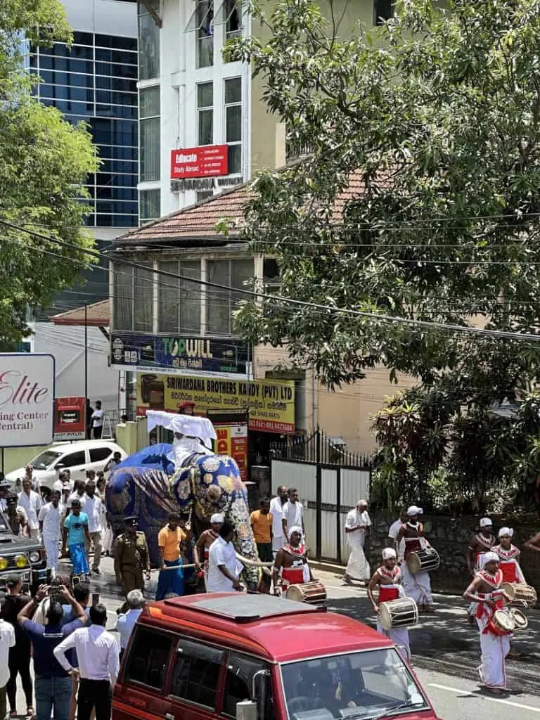 Decorated elephant in a procession of people walking through a street outside Kandy. There are people dressed in traditional clothes and bystanders taking photos