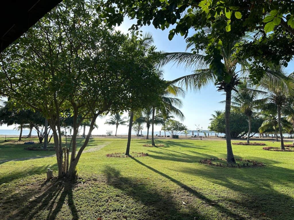 View of Pasikudah beach through palm trees