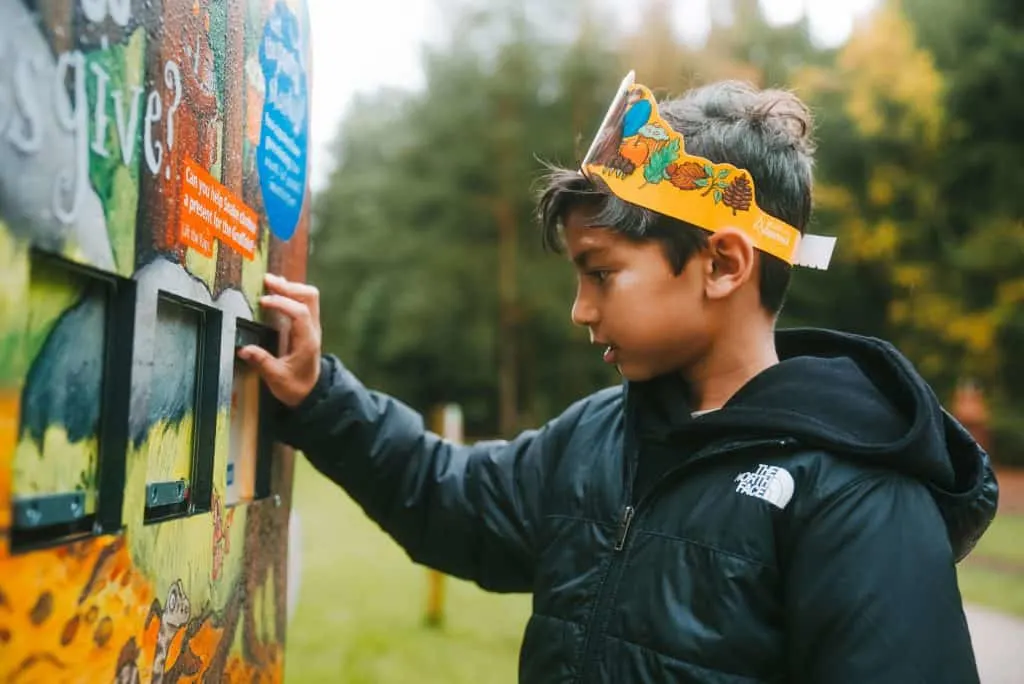Boy looks at information board in forest. He is wearing a Gruffalo themed party hat