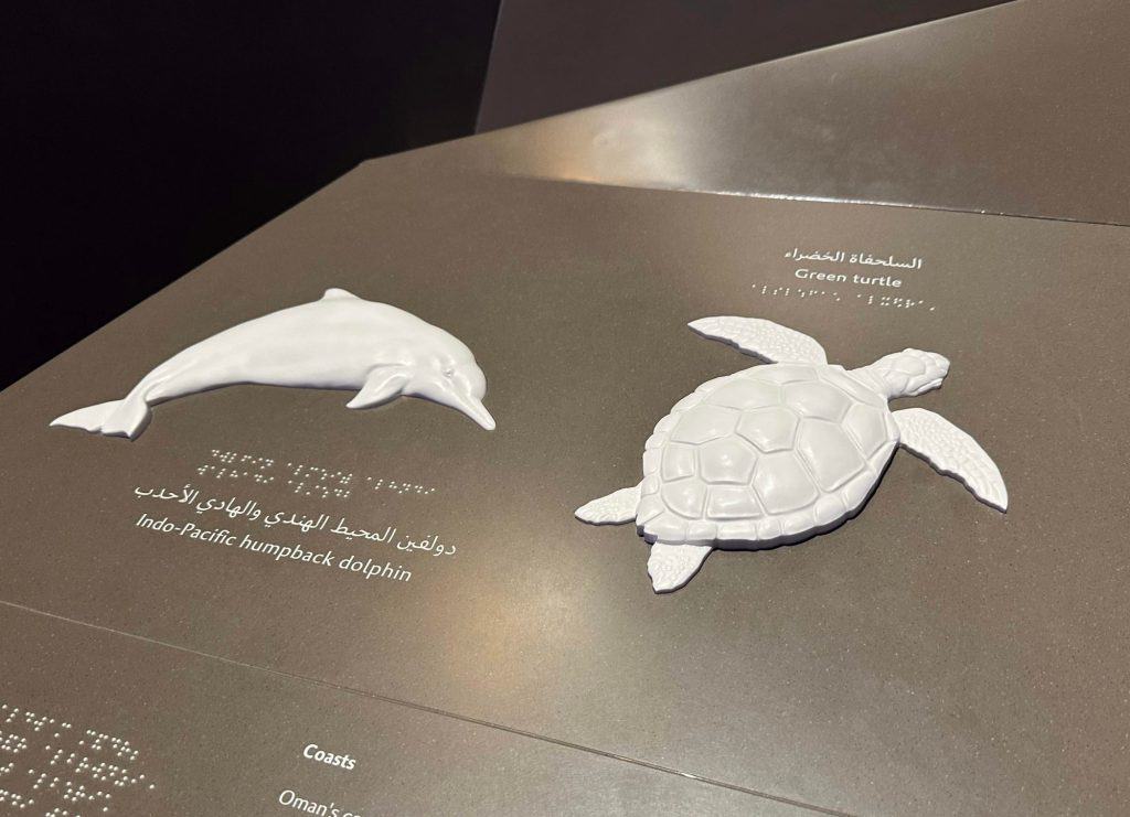 Accessible information board showing a raised outline of a turtle and dolphin alongside Arabic braille