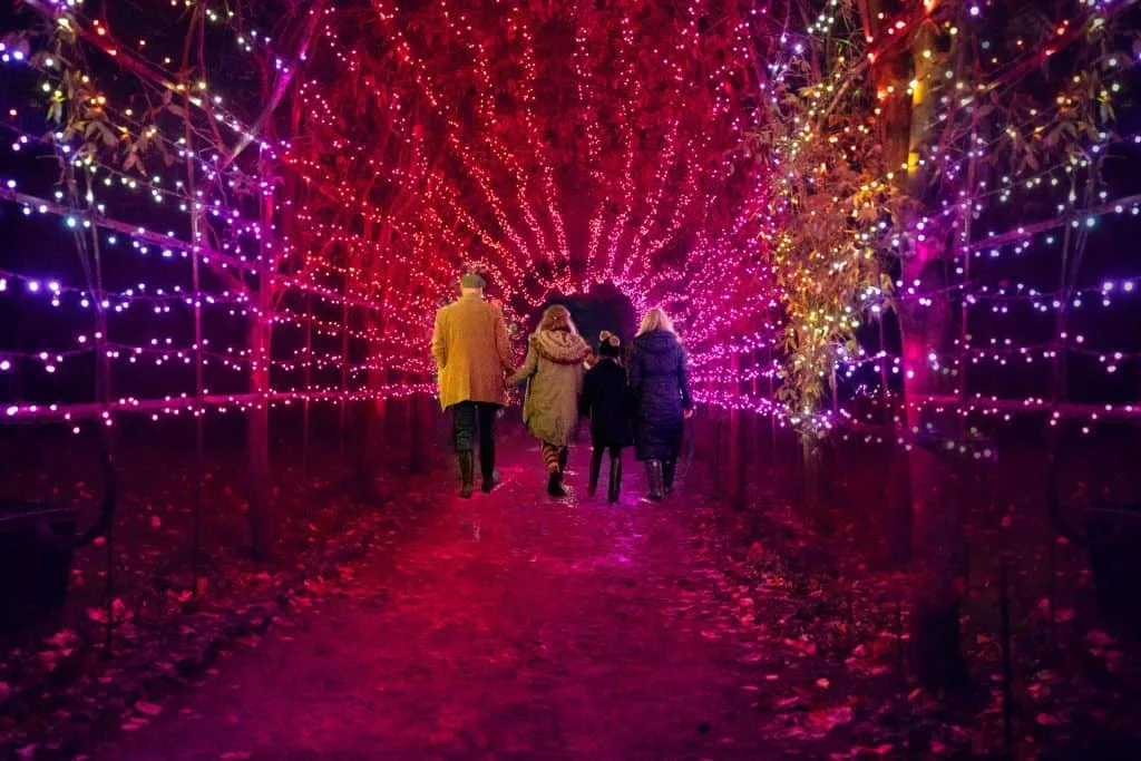 Family walking through a tunnel of light at Ashridge House