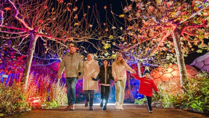 What’s on this Christmas in Cornwall – 2025 guide