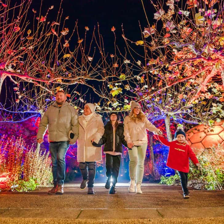 Family walk through light display at Eden Project in Cornwall