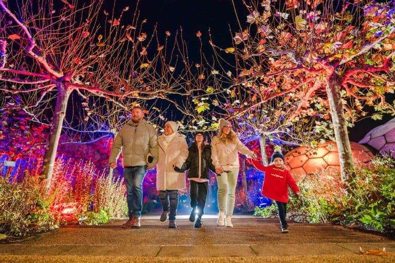 Family walk through light display at Eden Project in Cornwall