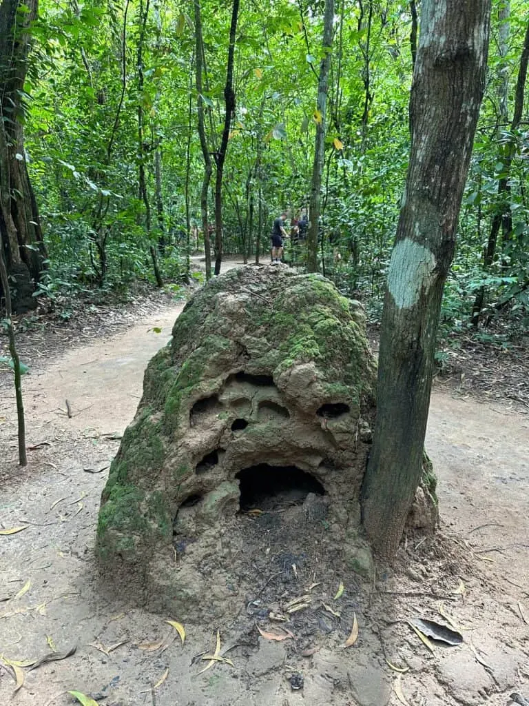 A mound of earth in there jungle that looks like a terminate hill. It is in fact and air hole for the tunnels