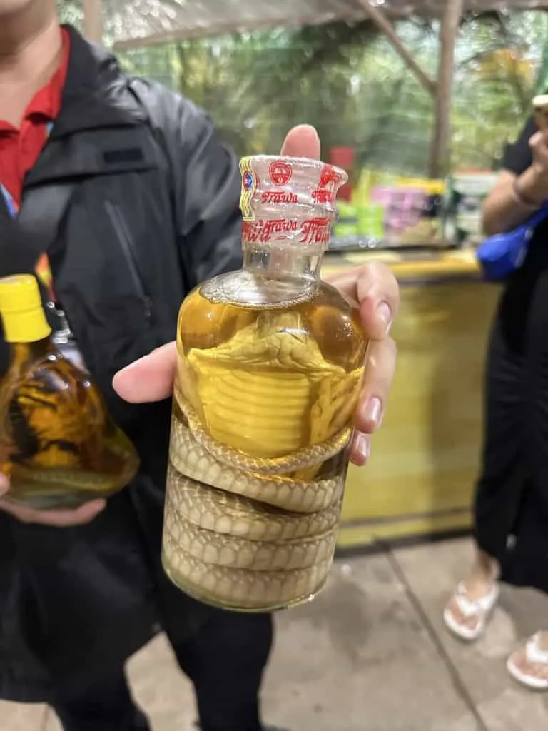 A bottle of wine with a snake curled up inside