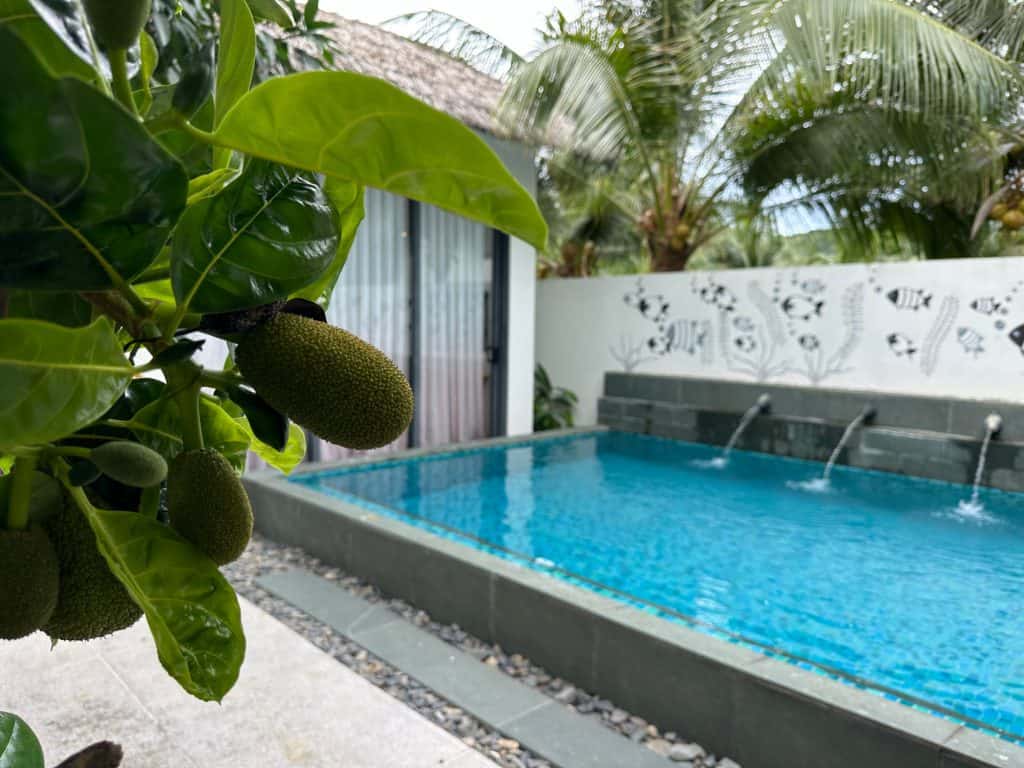 A jackfruit hangs from a tree in the foreground. In the background is the private pool at our villa