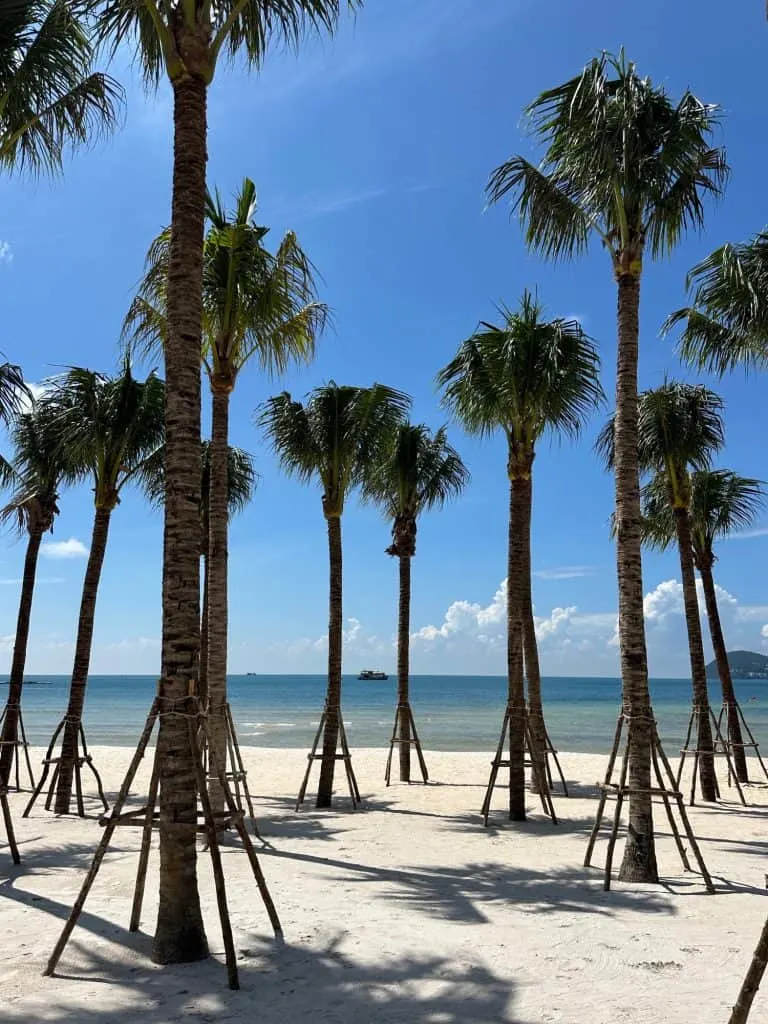 Palm trees in front of Khem Beach in Phu Quoc