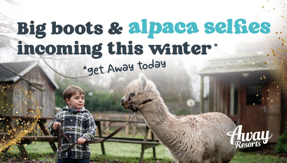 Away Resorts WinterFest promotion