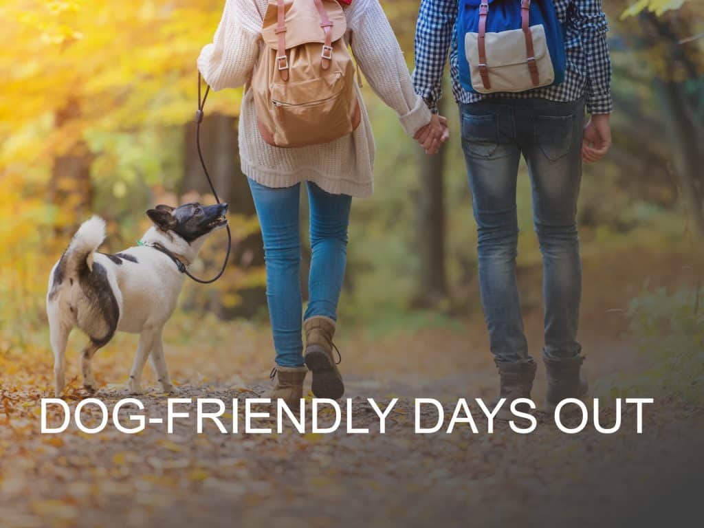 Click here for dog-friendly days out ideas