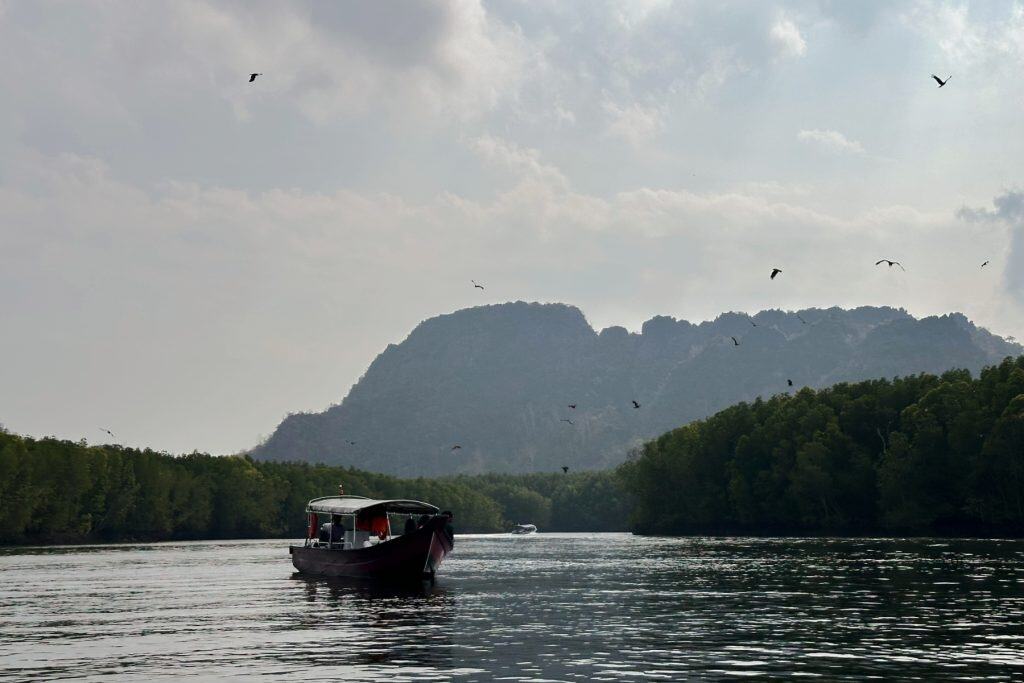 A speed boat stopped in the mangroves of Kilim National Park with eagles soaring above it