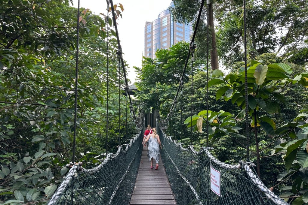 My children walking on a bridge through the jungle canopy of the KL Urban Jungle. There are tower blocks peeping through the canopy